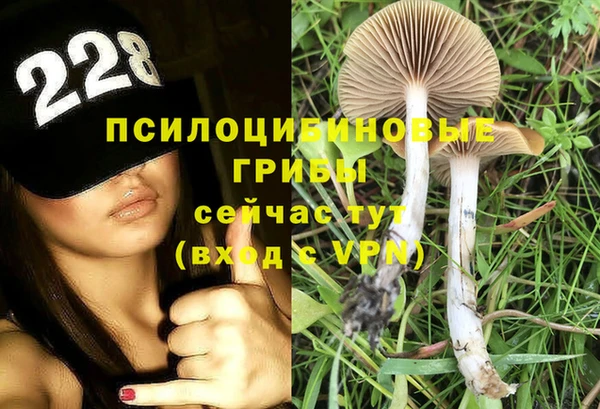 ГАЛЛЮЦИНОГЕННЫЕ ГРИБЫ Володарск