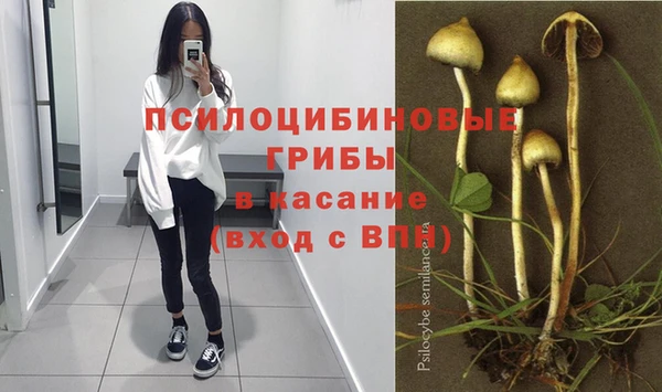 крисы Волоколамск