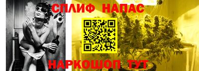 сатива Балахна