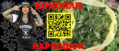 сатива Балахна