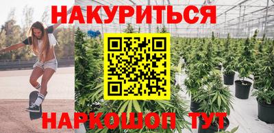 сатива Балахна