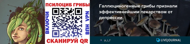 нарко площадка формула  Гусев  Псилоцибиновые грибы Psilocybine cubensis 