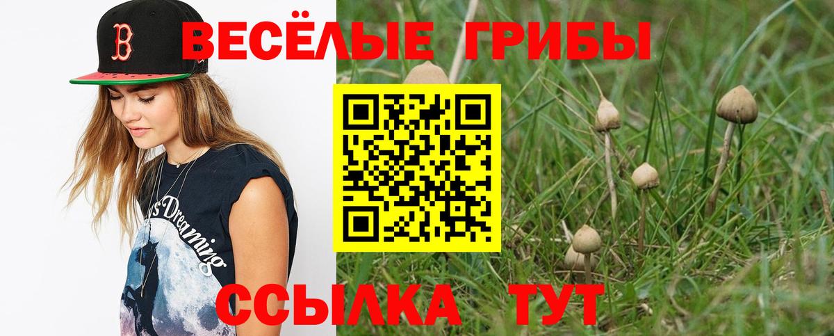 Галлюциногенные грибы мухоморы  Вход с VPN  Галлюциногенные грибы прущие грибы  Гусев 