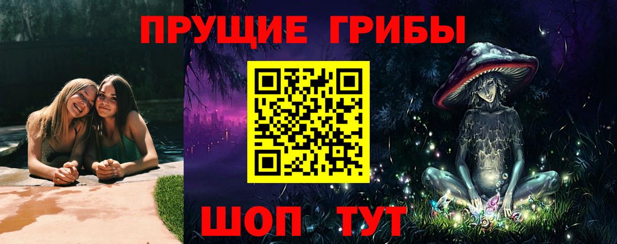 Псилоцибиновые грибы мицелий Гусев