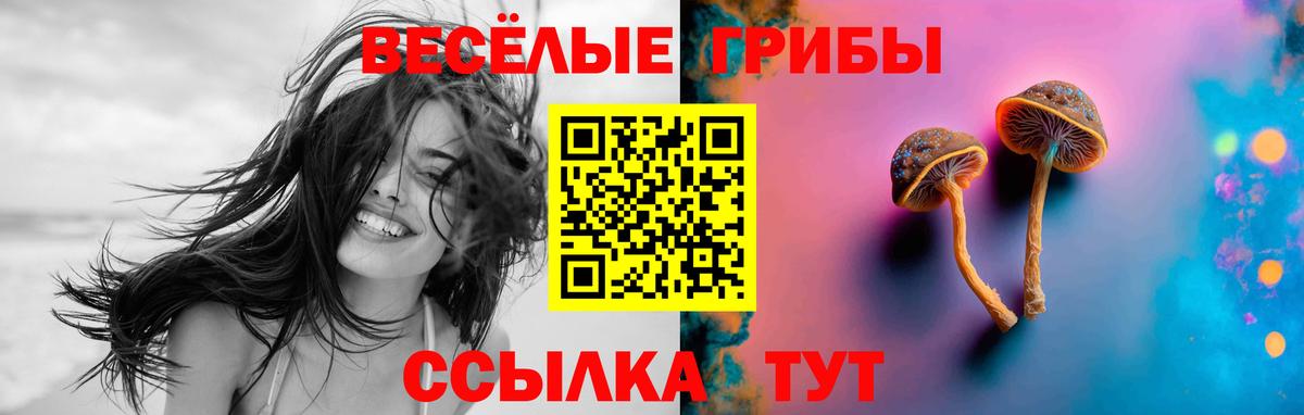 Мефедрон кристаллы  Марихуана  NBOMe  Канабис  ЭКСТАЗИ  Вейп ТГК  Гусев  МДМА  Вход с VPN 